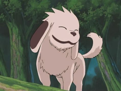 what breed is akamaru from naruto